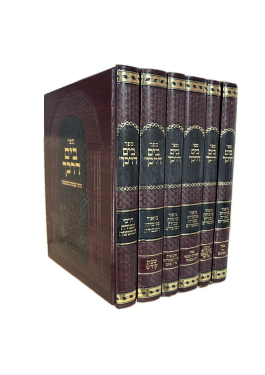 Bayam Darkecha - Pnimiyus Avodas Hazmanim - Shavuos , Bein Hametzarim , Tu Bav /   בים דרכך פנימיות עבודת הזמנים -שבועות -בין המצרים -ט''ו באב
