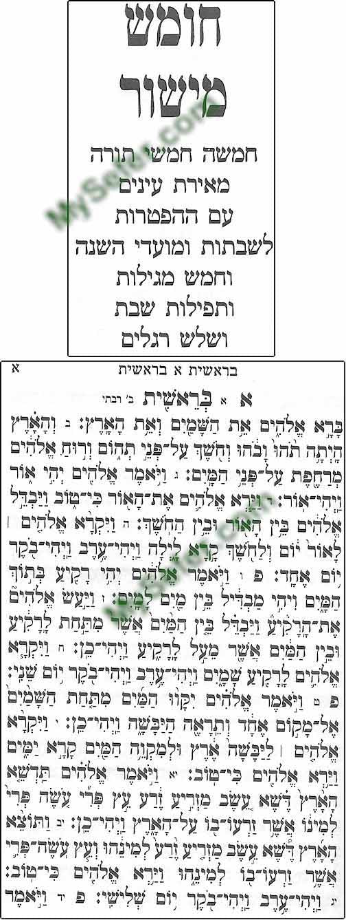 Nusach Chumash & Tefilot Nusach Ashkenaz (regular size) – My Sefer
