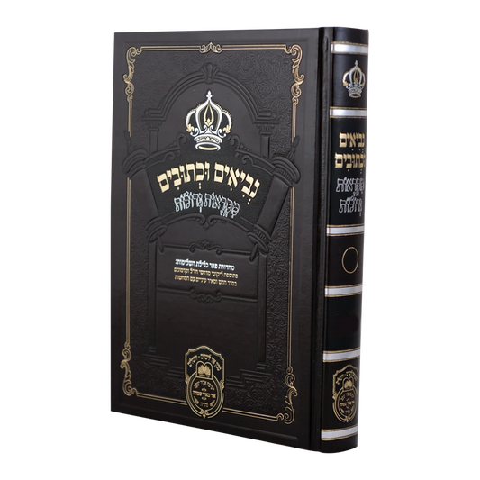Nevi'im U'Kesuvim Mikraos Gedolos #20 - Iyov / נ"ך מקראות גדולות (כ) - איוב