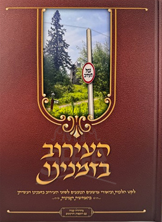 HaEruv Bezmaneno / העירוב בזמננו