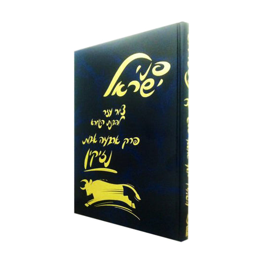 Penei Yisroel, Arba Avos (Hebrew Only) / פני ישראל, ארבע אבות (עברית בלבד)