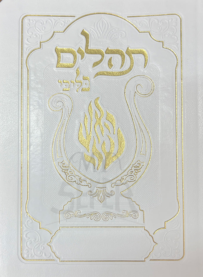 Tehillim BeLibi / תהלים בליבי