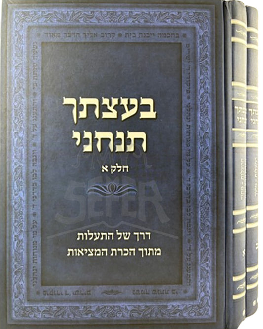 Baatzascha Tancheini Vol.1 / בעצתך תנחני