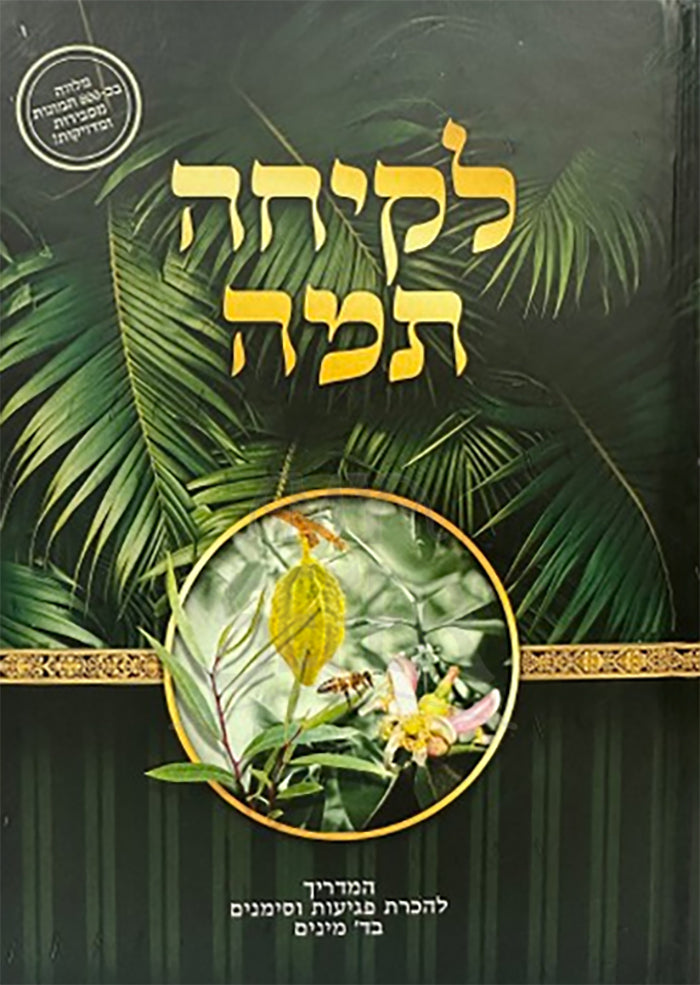 Lekicha Tama / לקיחה תמה תמונות