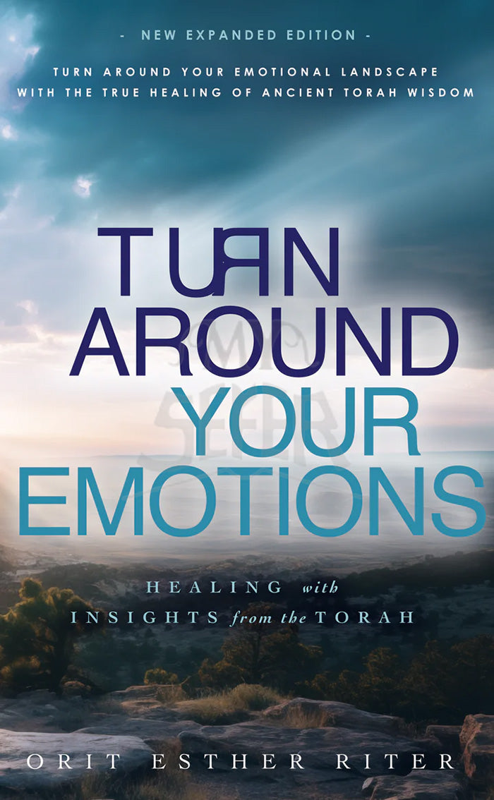 TURN AROUND Your Emotions