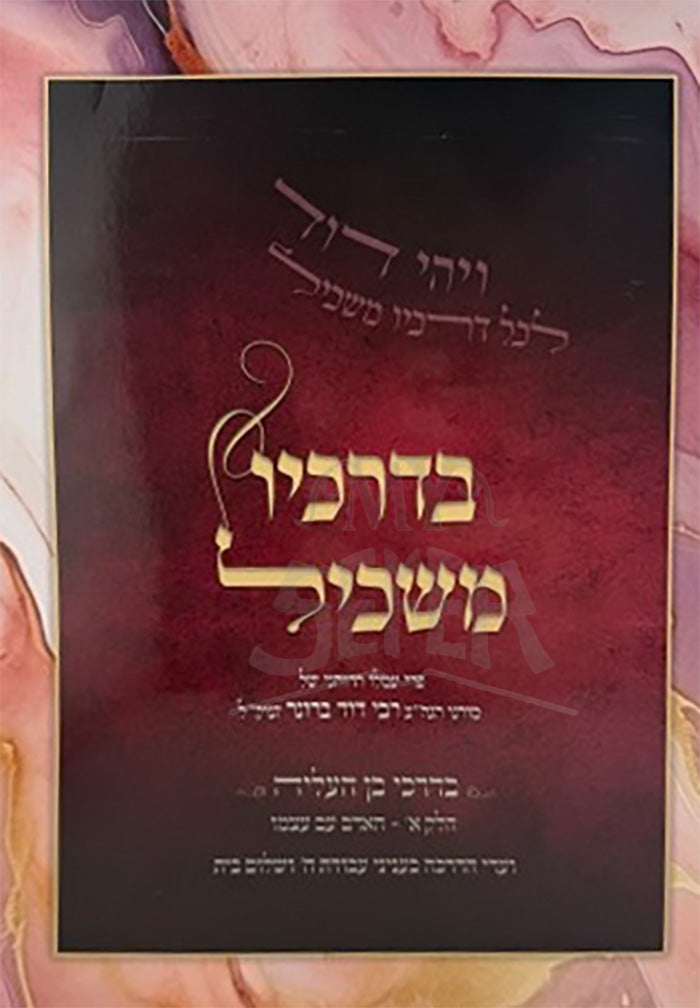 B'Drachav Maskil (Paperback) / בדרכיו משכיל