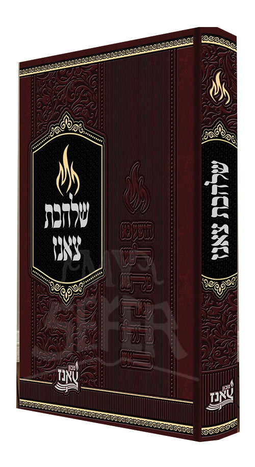 Shalheves Sanz/ שלהבת צאנז