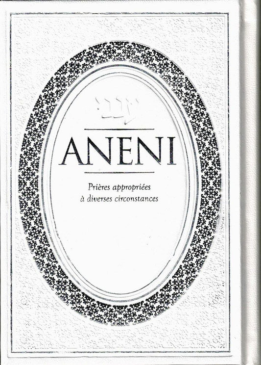 Aneni: French Edition