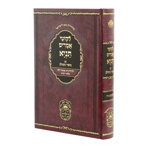 Tanya Biur Meshulav #2 - Perakim 9-17 / תניה ביאור משלוב #2 - פרקים 9-17