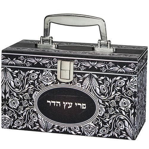 Sky Design Esrog Box Silver Print