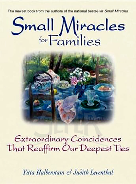 Small Miracles for Families: Extraordinary Coincidences That Reaffirm Our Deepest Ties (Small Miracles)