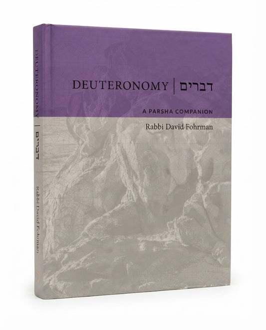 Deuteronomy: A Parsha Companion by Rabbi David Fohrman