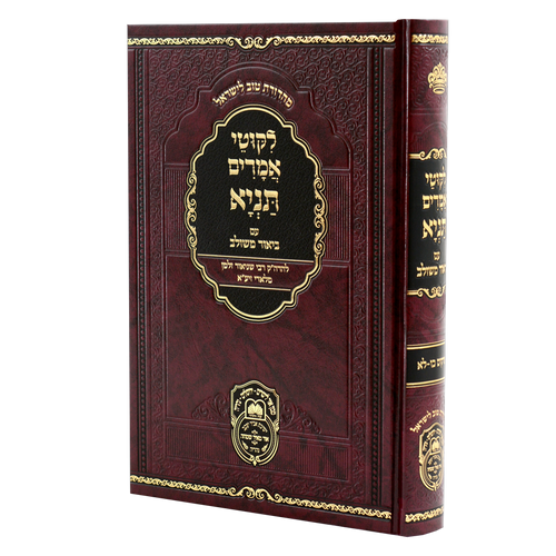 Tanya Biur Meshulav #4 - Perakim 26-31 / תניה ביאור משלוב #4 - פרקים 26-31