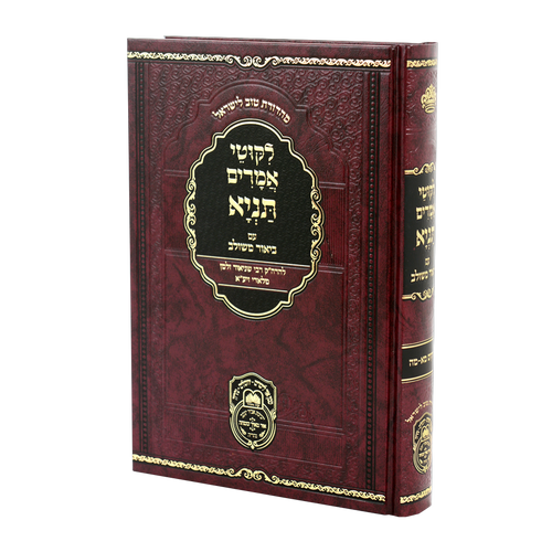 Tanya Biur Meshulav #7 - Perakim 41-45 / תניה ביאור משלוב #7 - פרקים 41-45
