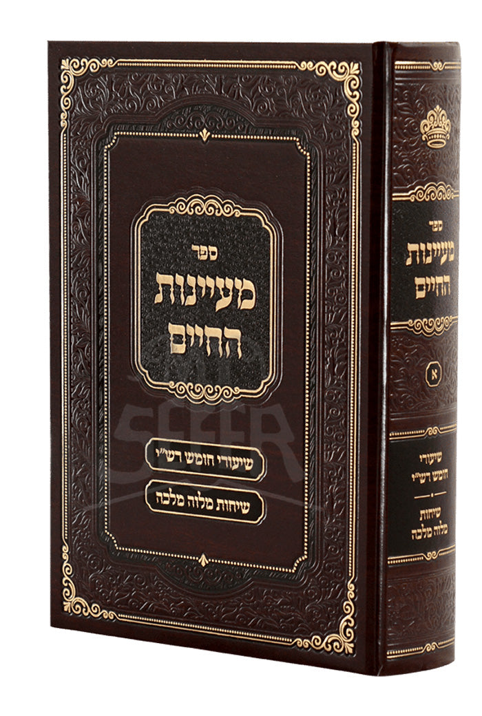 Maayenus Hachaim (Temishvar)/ספר מעיינות החיים