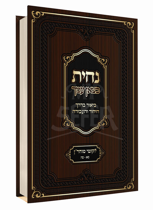 Sefer Nachisa Chatzon Amecha / נחית כצאן עמך
