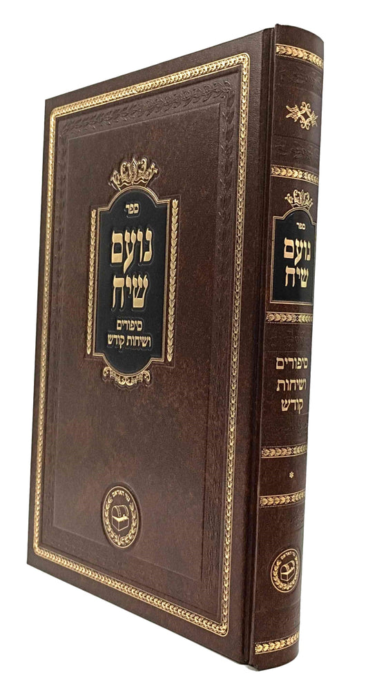 Noam Siach / נועם שיח