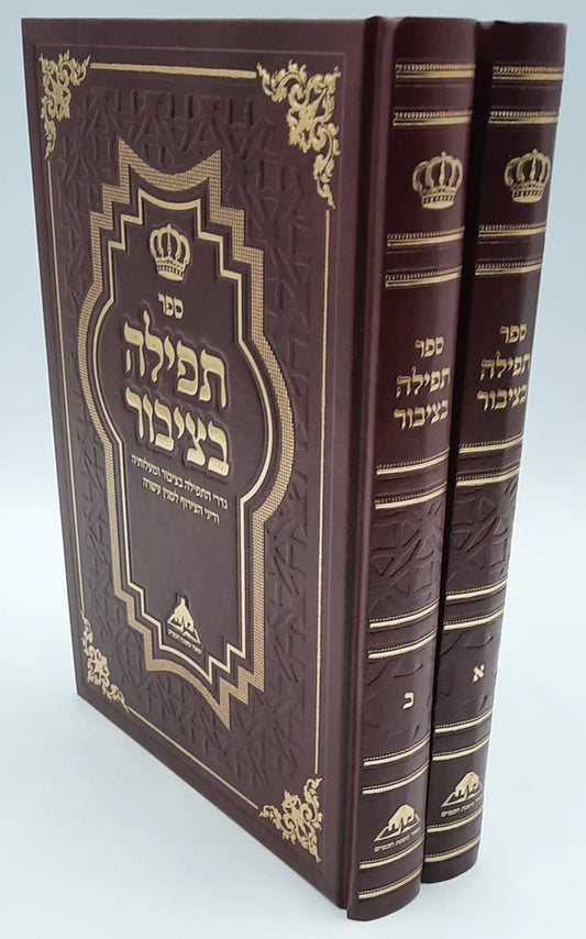 ספר תפילה בציבור ב' כרכים