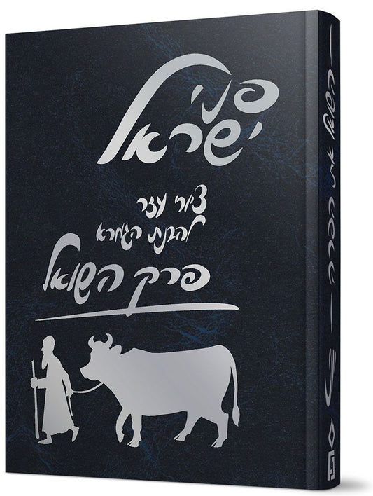 Penei Yisroel, Perek Hashoel (Hebrew Only) / פני ישראל, פרק השואל (בעברית בלבד)