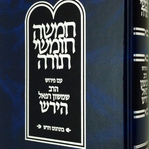 Hirsch Chumash New Edition, Bamidbar (Hebrew Only) / הירש חומש מהדורה חדשה, במדבר (עברית בלבד)