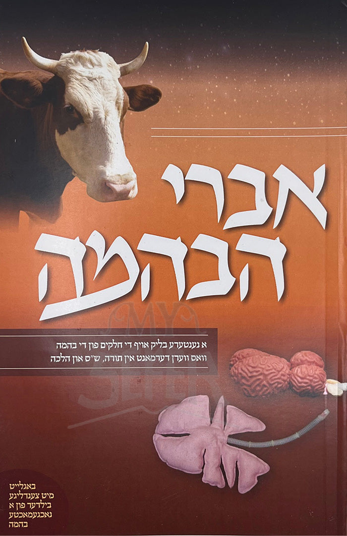Ibrei beHemah / איברי בהמה