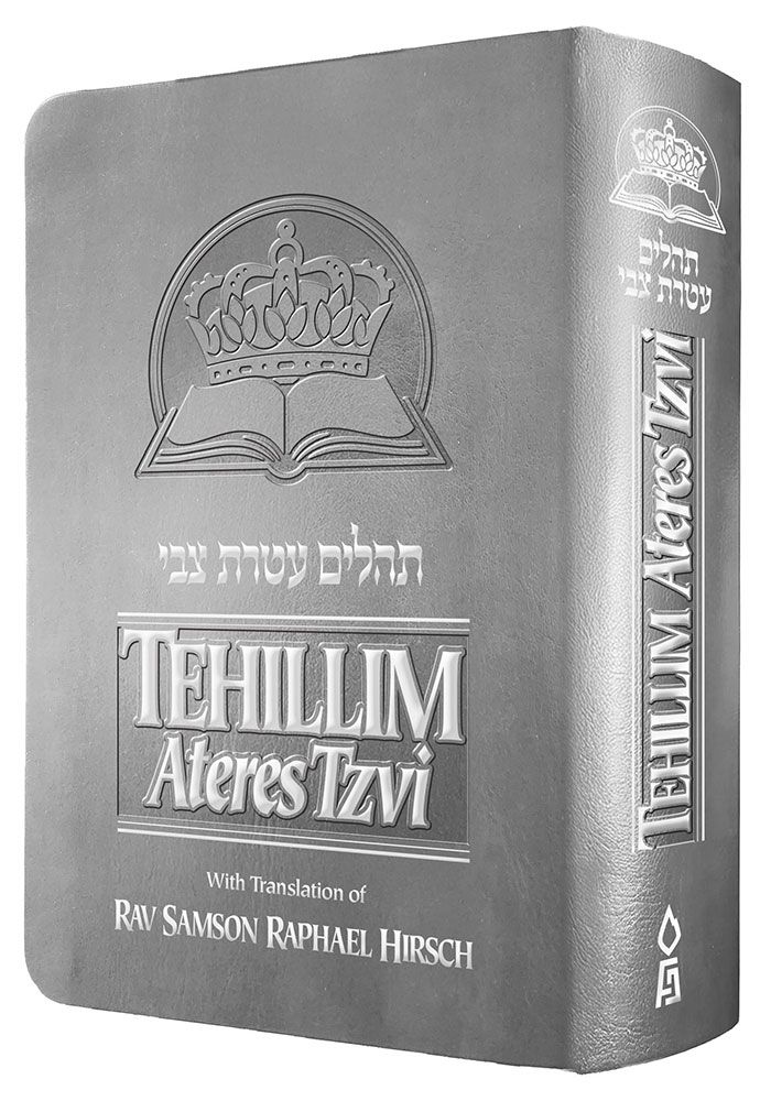 Tehillim Ateres Tzvi, Silver