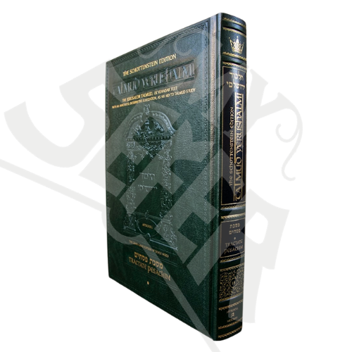 Schottenstein Talmud Yerushalmi - English Edition [#18] - Tractate Pesachim 1 (1a-44b) (Full Size)
