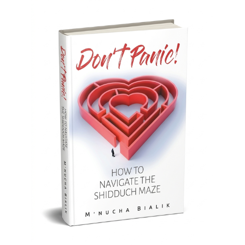 Don't Panic : How to Navigate The Shidduch Maze
