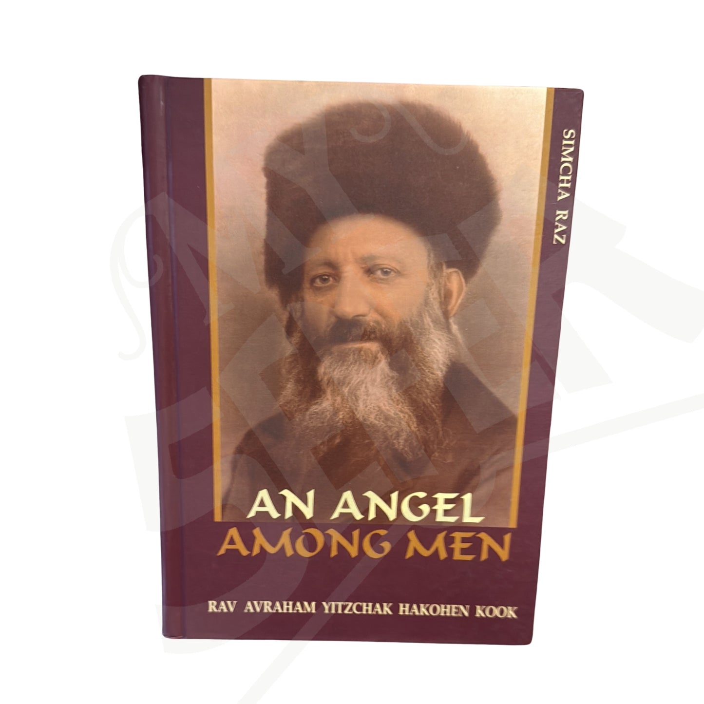 An Angel Among Men