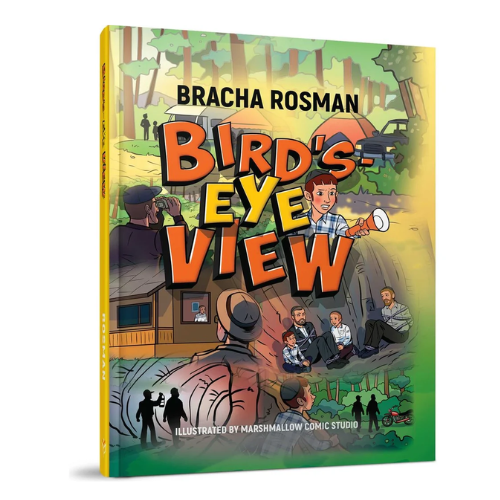 Bird's-Eye View