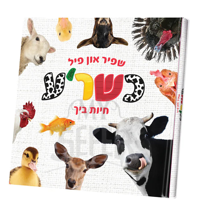 My First Touch and Feel Animal Book Yiddish