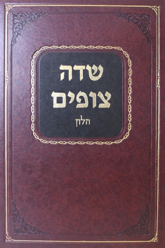 Sedeh Tzofim al Masechet Chullin