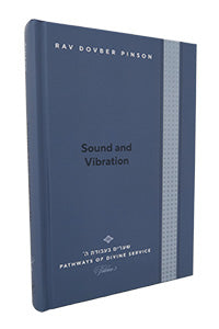 Sound & Vibrations : Turning into the Echos of Creation (Rabbi DovBer Pinson)