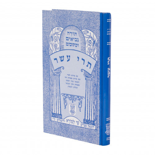 Nach Metzudos - Trei Asar / נ"ך מצודות - תרי עשר