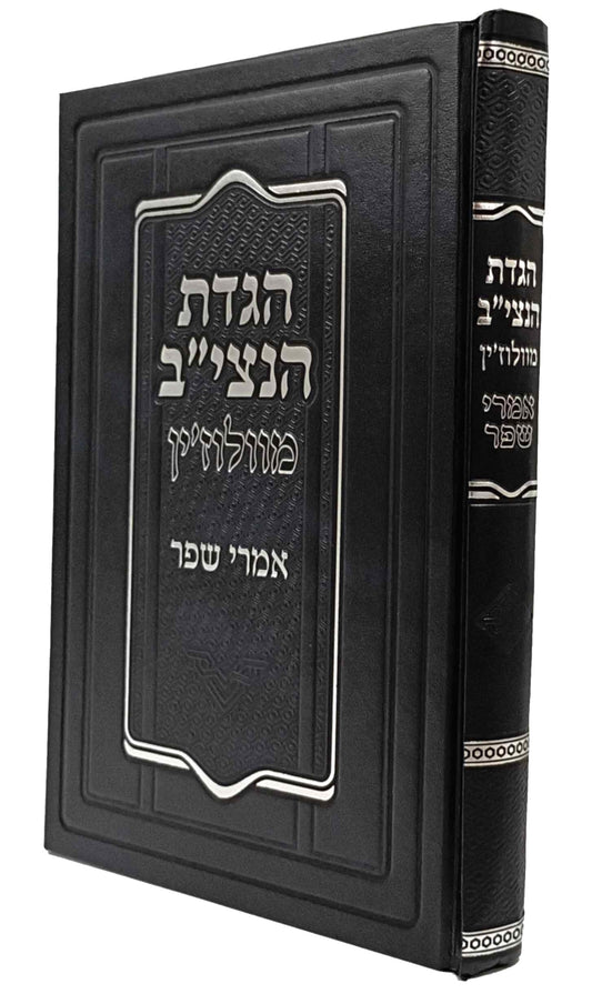 Haggadah Imrei Shefer - Netziv of Volozhin הגדה אמרי שפר להנצי"ב מוולאזין מבואר ומפורש