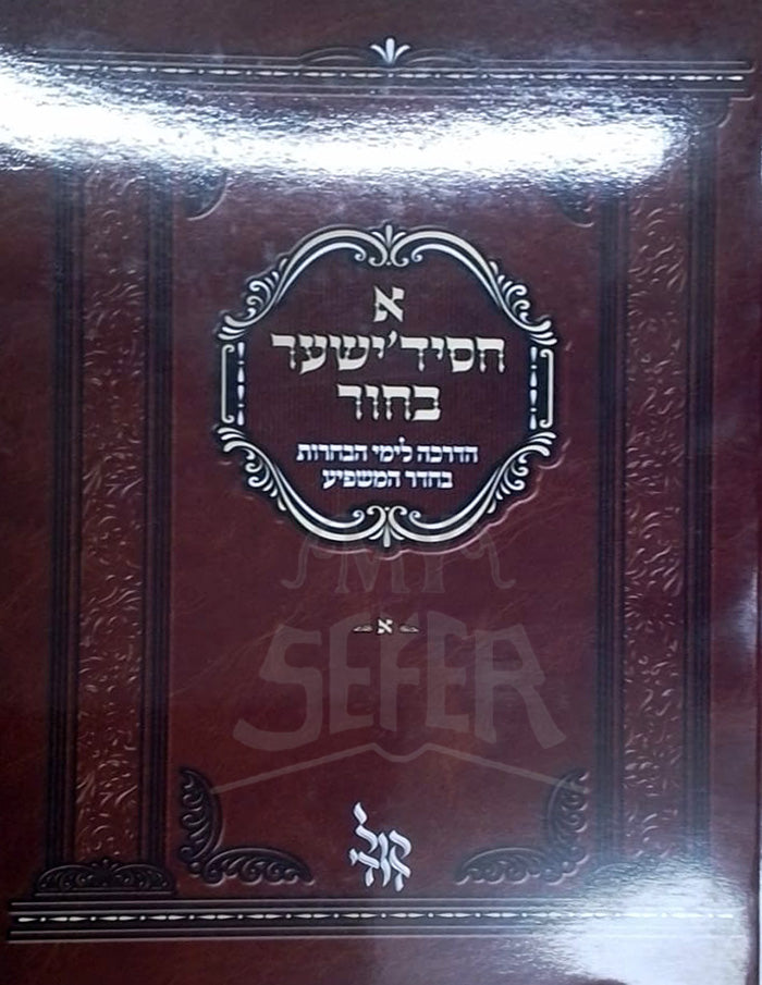 A Chasidisher Bechur / א חסידישער בחור
