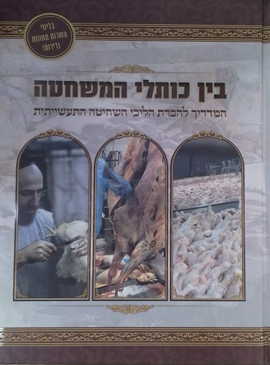 Bein Kotlei HaMeshchetah / בין כותלי המשחטה