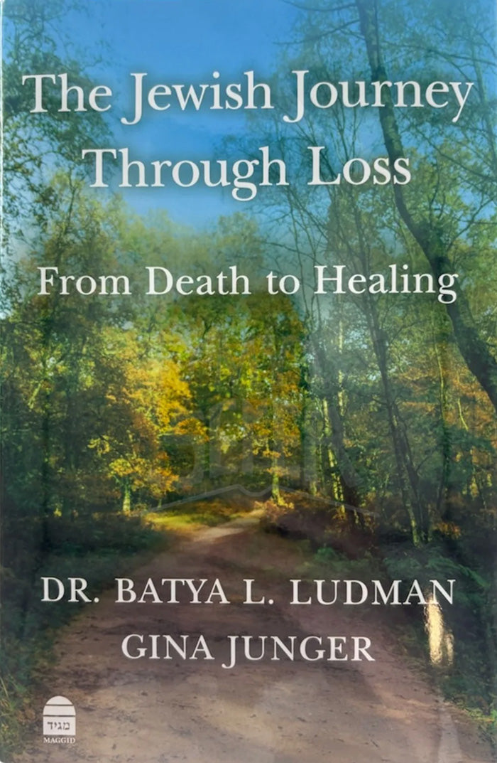 The Jewish Journey Through Loss,From Death to Healing,Ludman,Junger