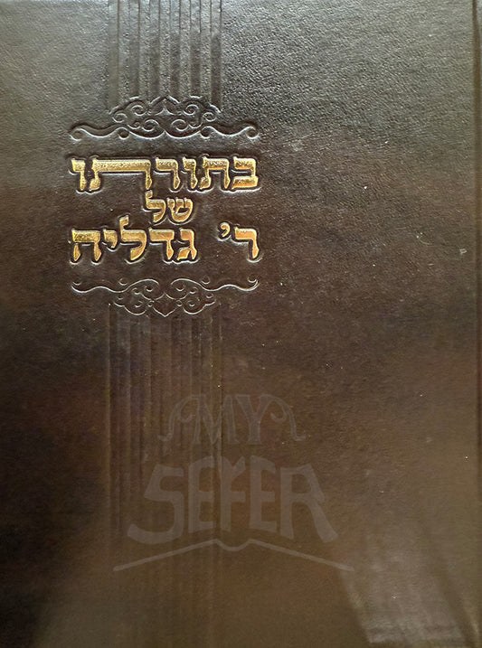 Betorto Shel Ri Gedalich / בתורתו של ר' גדליה | הרב שילתפתח מדיה בתצוגת גלריה בתורתו של ר' גדליה | הרב שילת