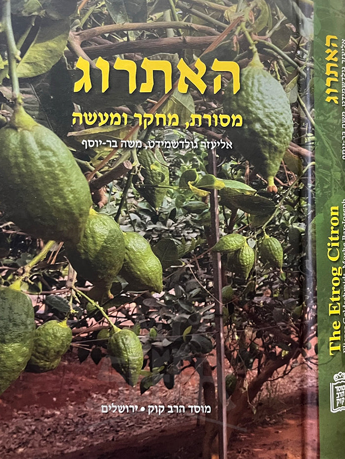 HaEtrog ,Masoret Mechkar  VeMaaseh / האתרוג מסורת מחקר ומעשה