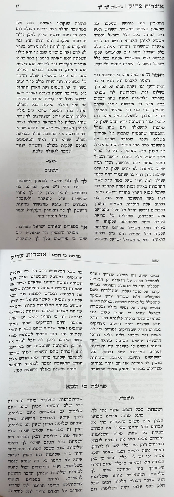 Sefer Otzarot Tzaddik / ספר אוצרות צדיק