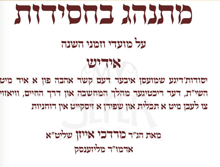 Sefer Mitnaheg B'Chassidut Yiddish / מתנהג בחסידות בידיש