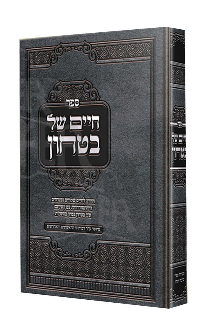 Chaim Shel Bitachon / חיים של בטחון - הדרך לחיים שלווים ובטוחים