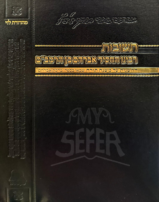 Teshuvot Rabbenu HeHasid Avraham ben HaRambam / תשובות רבינו אברהם בן הרמבם