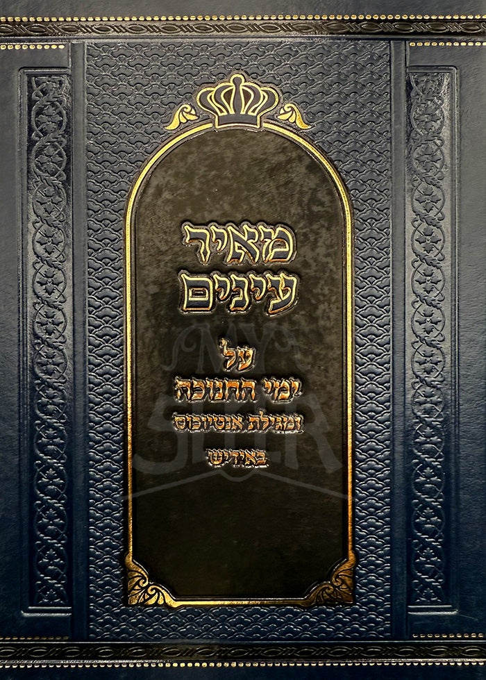 Meir Eineyim / מאיר עינים