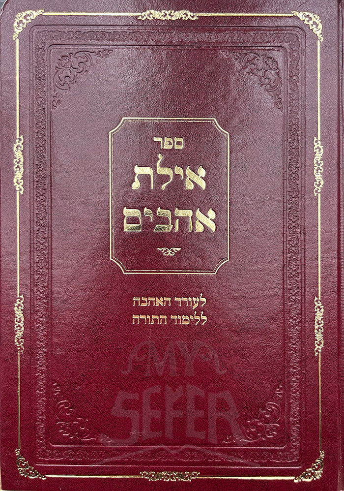 Ayelet Ahavim / אילת אהבים לעודד אהבה ללימוד התורה