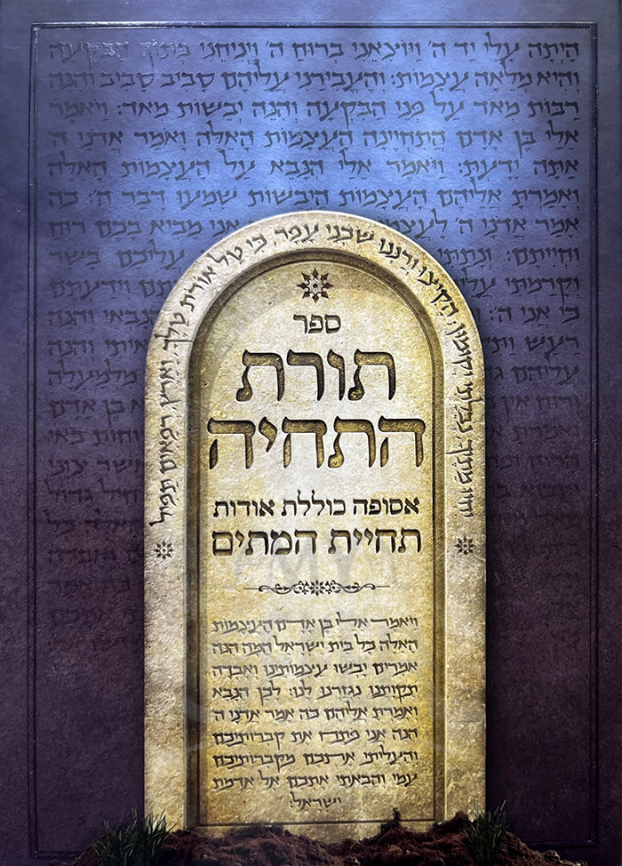 HaTechiya R’ Moshe Shabbat / תורת התחיה - ר' משה שבת