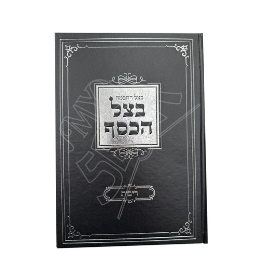 Betzel HaChochma Betzel HaKesef — Ribbit / בצל החכמה בצל הכסף — ריבית