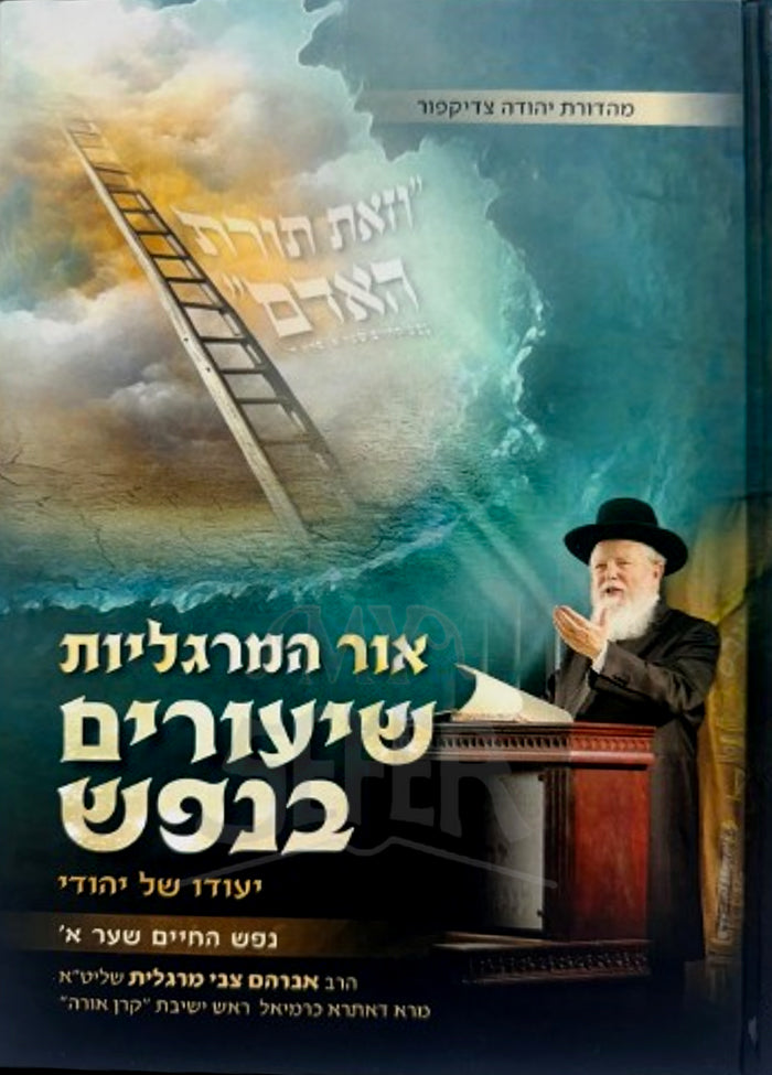 Shiyurim BeNefesh / שיעורים בנפש