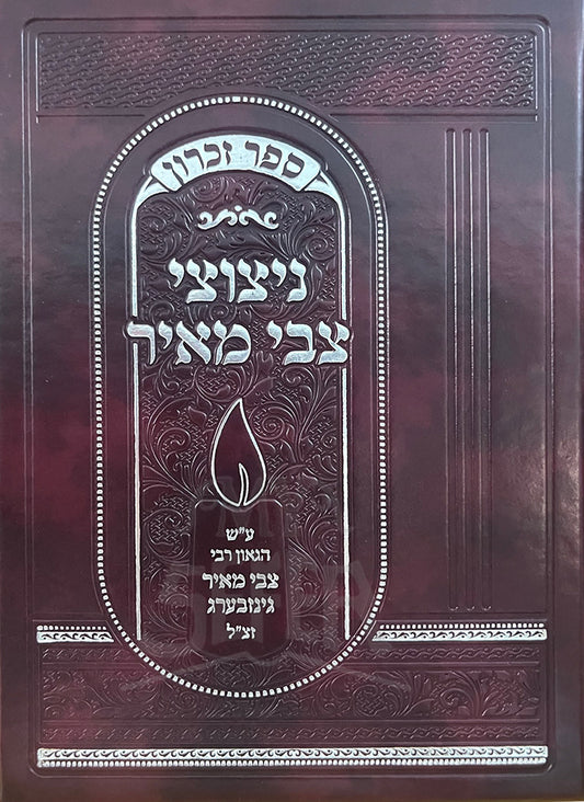 Niytzotzei Tzvi Shlomo / ניצוצי צבי מאיר